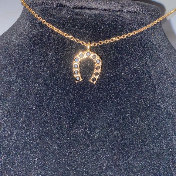 LA Hearts Rhinestone Horseshoe Necklace - Picture 2 of 8